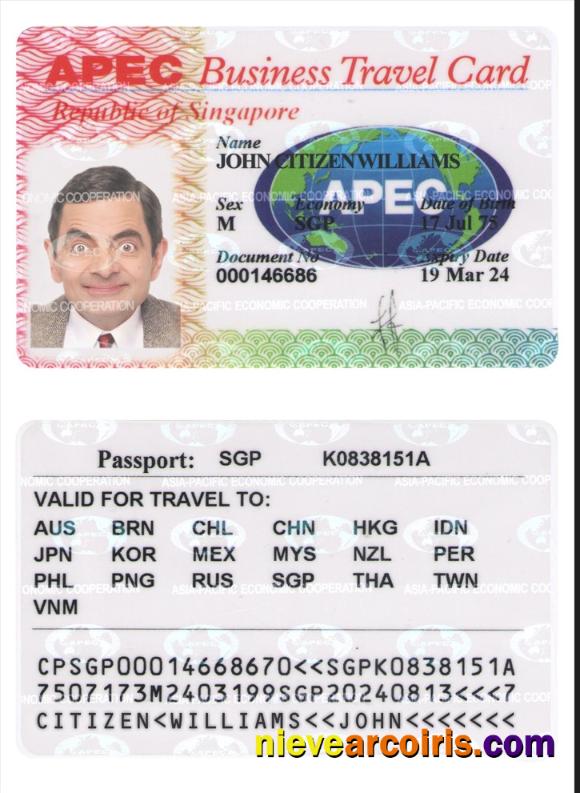 SINGAPORE business travel card